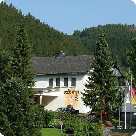 Altes Doktorhaus - Hotel Garni Willingen  Eksteriør billede