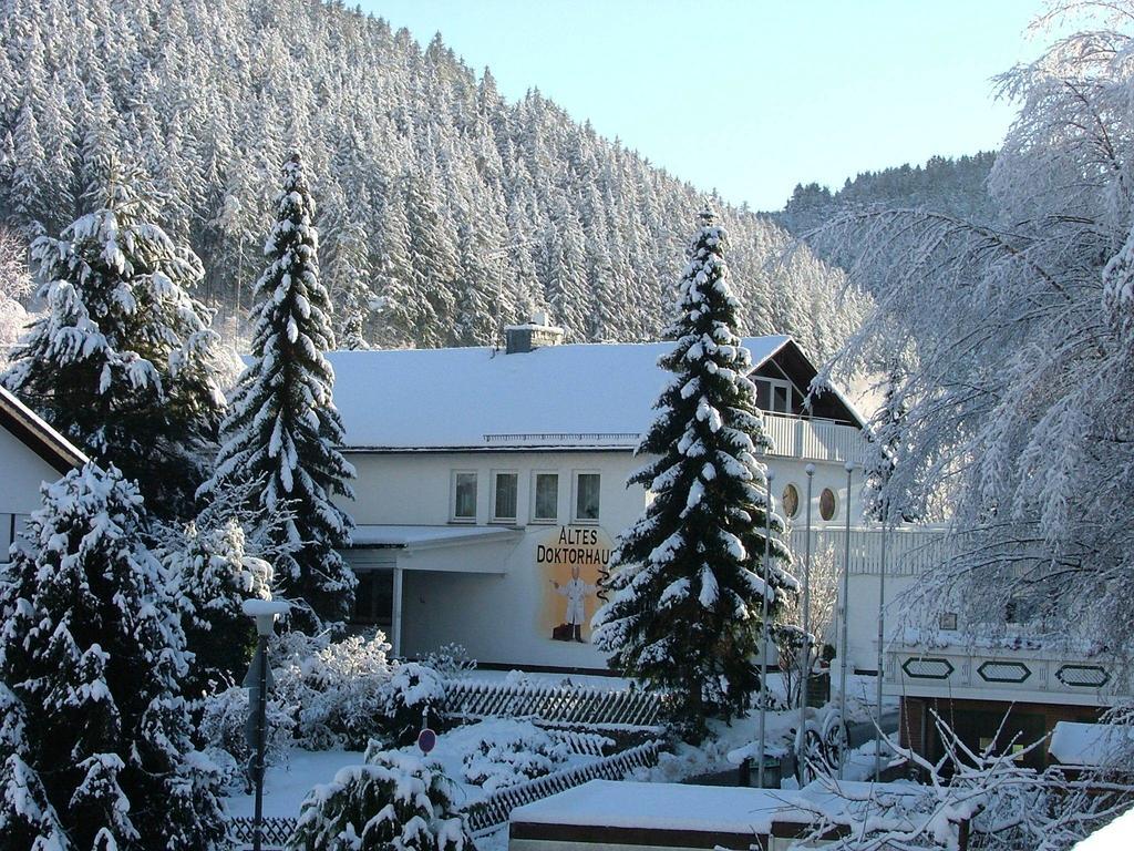 Altes Doktorhaus - Hotel Garni Willingen  Eksteriør billede